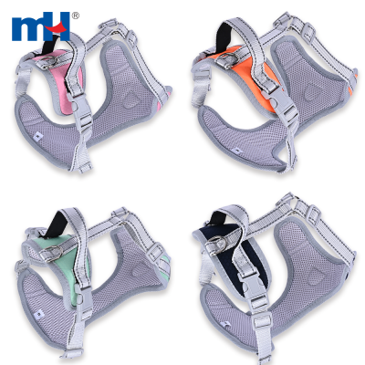 Pet Harness