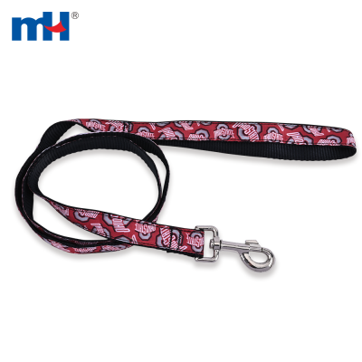 Pet Leash