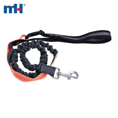 Pet Leash