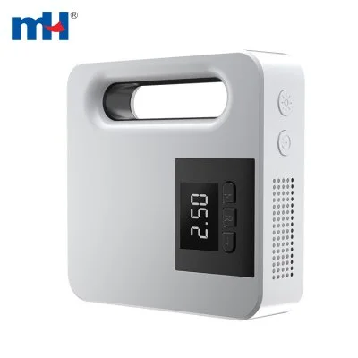 Car Air Pump
