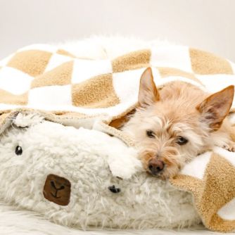 Pet Beds