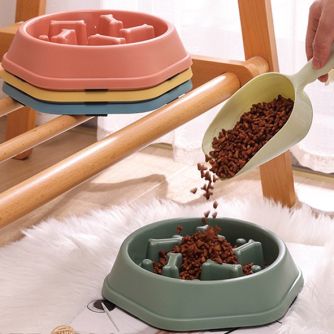 Pet Feeding & Watering Supplies