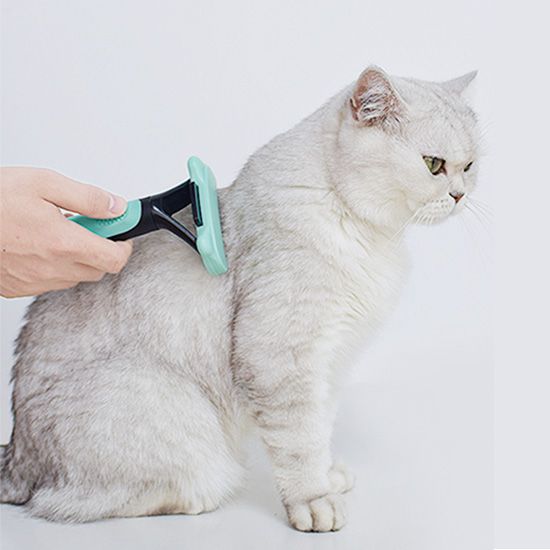 Pet Grooming Supplies