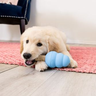 Pet Toys
