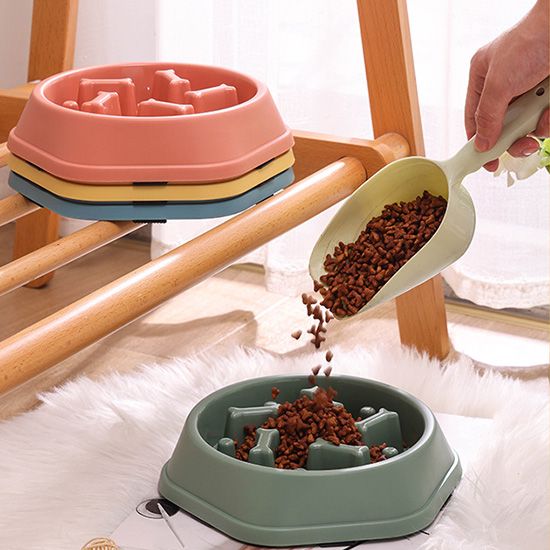 Pet Feeding & Watering Supplies