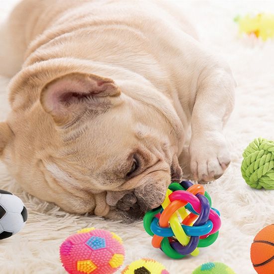 Pet Toys